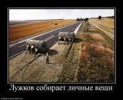 Прикрепленное изображение: 416625_luzhkov_sobiraet_lichnyie_veschi.jpg