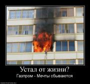 Прикрепленное изображение: 604625_ustal_ot_zhizni.jpg