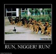 Прикрепленное изображение: 938788_run_nigger_run.jpg