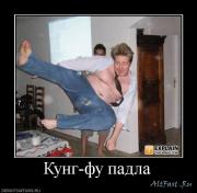 Прикрепленное изображение: 1242235054_505253_kung_fu_padla.jpg
