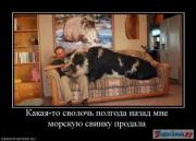 Прикрепленное изображение: 60d4a7756371ddf0bd6ddc45b3605774_small.jpg
