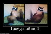 Прикрепленное изображение: 362670_glamurnyij_kote.jpg