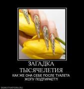 Прикрепленное изображение: 491318_zagadka_tyisyacheletiya.jpg