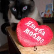 Прикрепленное изображение: SAM_0133.JPG