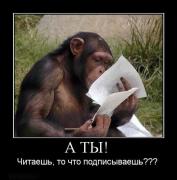 Прикрепленное изображение: 039.jpg