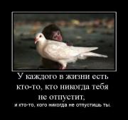 Прикрепленное изображение: 1109898W.jpg