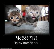 Прикрепленное изображение: 612762_chyoyoyoyo.jpg