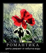 Прикрепленное изображение: 805056_r_o_m_a_n_t_i_k_a.jpg