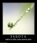 Прикрепленное изображение: 839316_z_a_b_o_t_a.thumbnail.jpg