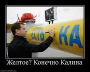 Прикрепленное изображение: 897624_zheltoe_konechno_kalina.thumbnail.jpg