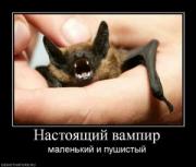 Прикрепленное изображение: 199098_nastoyaschij_vampir.thumbnail.jpg