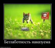 Прикрепленное изображение: 361366_bezzabotnost_nakazuema.thumbnail.jpg