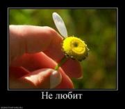 Прикрепленное изображение: 827630_ne_lyubit.thumbnail.jpg