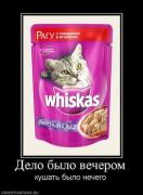 Прикрепленное изображение: 18256_delo_byilo_vecherom.thumbnail.jpg