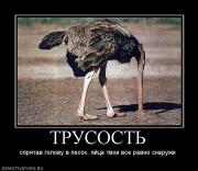 Прикрепленное изображение: 525339_trusost.jpg