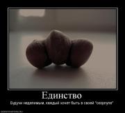 Прикрепленное изображение: 770011_edinstvo.jpg