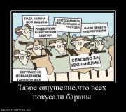 Прикрепленное изображение: 612446_takoe_oschuscheniechto_vseh_pokusali_baranyi.jpg