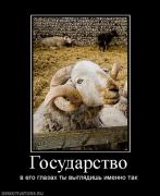 Прикрепленное изображение: 943135_shodi_podari_ej_5_k_rejtingu.thumbnail.jpg