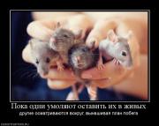 Прикрепленное изображение: 55893_poka_odni_umolyayut_ostavit_ih_v_zhivyih.jpg