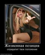 Прикрепленное изображение: 448384_zhiznennaya_pozitsiya.jpg