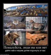 Прикрепленное изображение: 507170_pozhalujsta_lyudi_vyi_ili_net.jpg