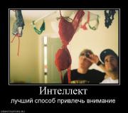 Прикрепленное изображение: 12667_intellekt.jpg