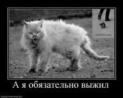 Прикрепленное изображение: 28119_a_ya_obyazatelno_vyizhil.jpg