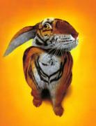 Прикрепленное изображение: BACKGR_1.JPG