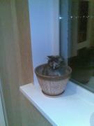 Прикрепленное изображение: 22102007_001_.jpg