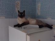 Прикрепленное изображение: IMG0192A.jpg