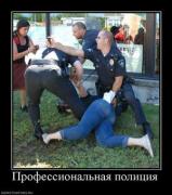 Прикрепленное изображение: 838919_professionalnaya_politsiya.thumbnail.jpg