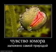 Прикрепленное изображение: 304693_chuvstvo_yumora.thumbnail.jpg
