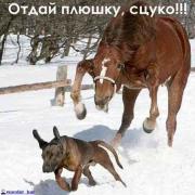 Прикрепленное изображение: b_h28788.jpg