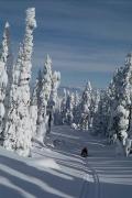 Прикрепленное изображение: 680060.JPG