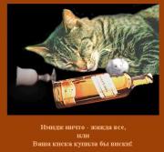 Прикрепленное изображение: 004.JPG