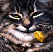 Прикрепленное изображение: 008.jpg