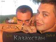 Прикрепленное изображение: ginex.jpg