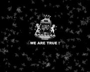 Прикрепленное изображение: 14p.jpg