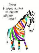 Прикрепленное изображение: 5760994_Kopiya_2_13203546_ZEBRA.JPG