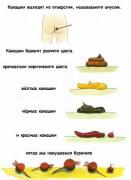 Прикрепленное изображение: 1cbf004e77e8.jpg