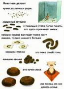Прикрепленное изображение: 9136d3330442.jpg