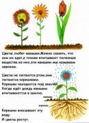 Прикрепленное изображение: acd79c324ecd.jpg