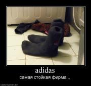 Прикрепленное изображение: 747783_adidas.jpg