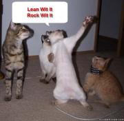Прикрепленное изображение: lean_wit_it_rock_wit_it_cat.jpg