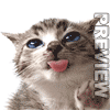 Прикрепленное изображение: avatar_3210.gif