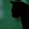Прикрепленное изображение: av_306.gif