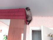 Прикрепленное изображение: IMG0088A.jpg